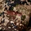 Jetstream-Jacket-Optifade-Subalpine_Studio_01370_2048x2048.webp