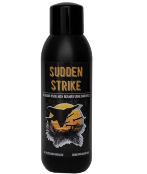 Sudden Strike HADWAO.JPG